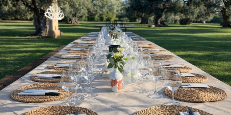 Oleotourism: why visiting an olive oil mill is a unique experience